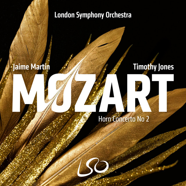 Horn Concerto  mozart horn concerto no 2 in flat major 417 iii rondo allegro pi allegro