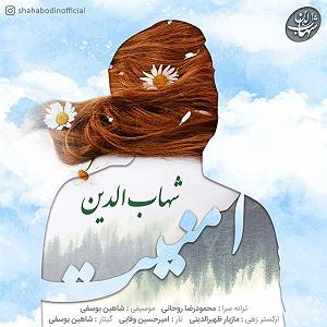 شهاب الدین صالحی امنیت