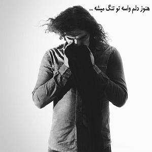 رضا یزدانی  سایه نشو هنوز دلم واسه تو تنگ می شه