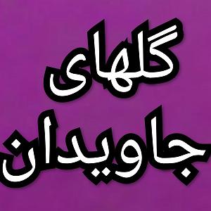 آلبوم شماره 3 اکسیژن شماره های 14 تا 20 اثر ژان میشل ژار (2016) گلهای جاویدان  برنامه شماره ۱۴۰