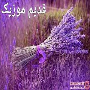 36 داستان یک وهابی  من سرباز توام با تو ام نازنین من