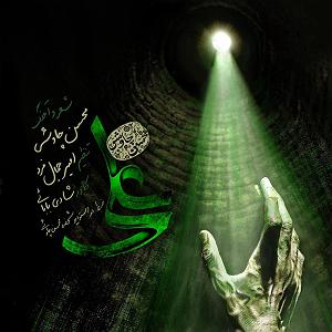 محسن چاوشی - صید جگر خسته علی