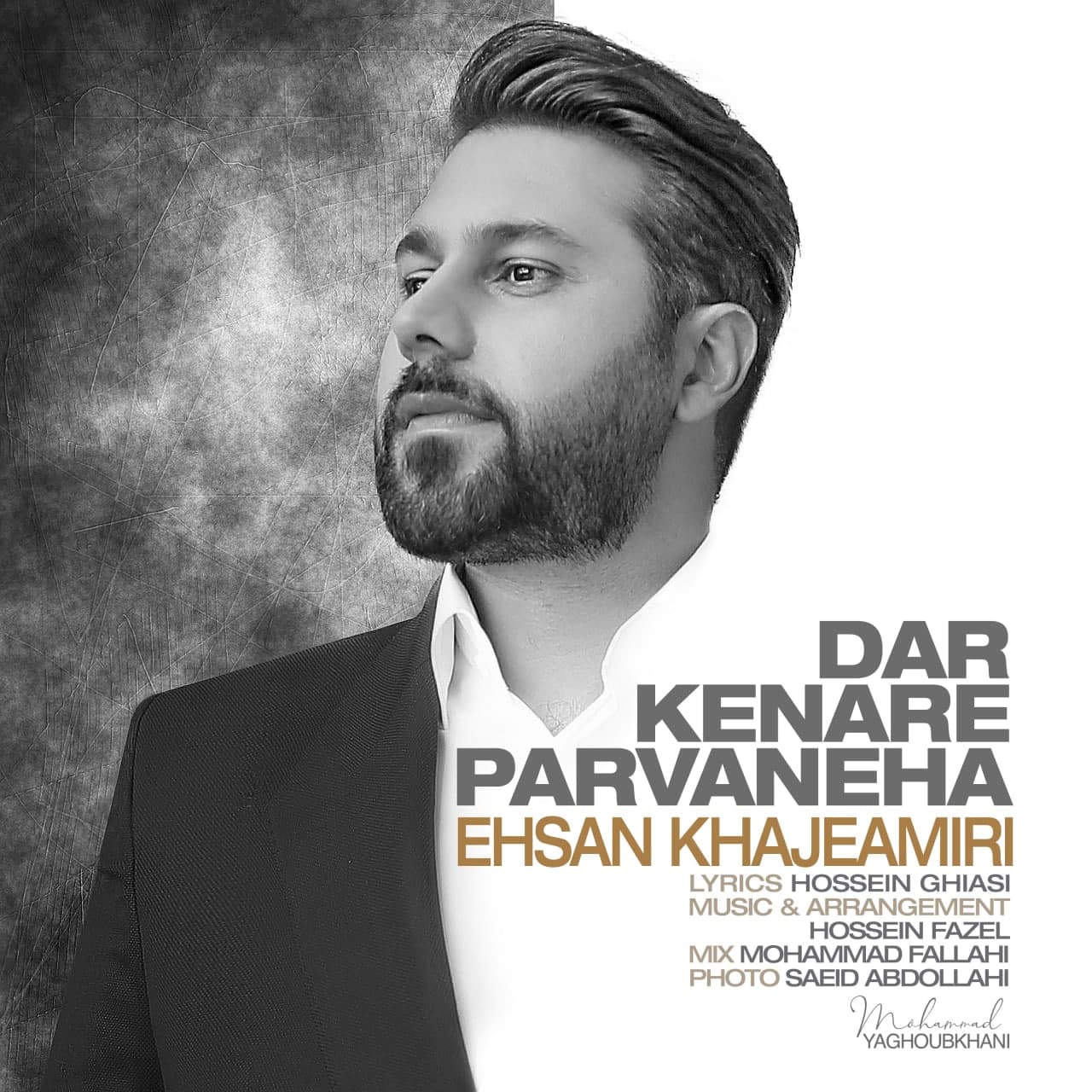 احسان خواجه امیری - وقتی می خندی درد مرا کم می کند با عینک غرقم میکند