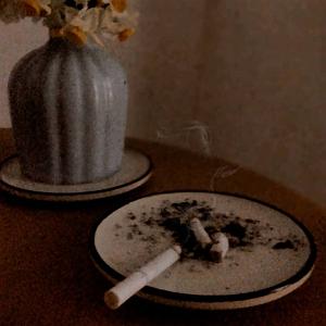 اخلاق ناجور شهین تو پارک یه ادم ناجور سیگاری