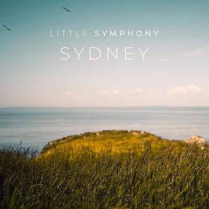 موزیکست شماره 1 : آرامبخش موسیقی بیکلام ارام بخش sydney اثری از little symphony