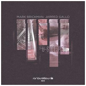 فاتحه خوانی به موسیقی زیبای سنتی! موسیقی الکترونیک نیو دیسکو ریتمیک و زیبای U Stepped اثری از Jarred Gallo