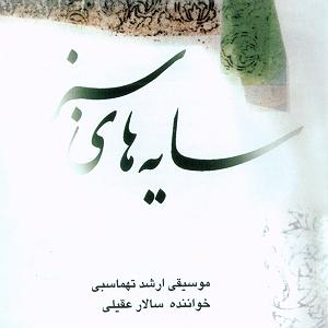 آلبوم نسیم وصل ٠٩ تصنیف بیات ترک(روز وصل)