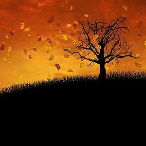 چارتار  خوشا به من Chaartaar  Mara Be Khaterat Negahdar