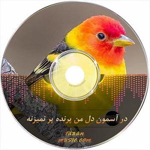 ایرج مهدیان در اسمون دل من پرنده پر نمیزنه ایرج مهدیان