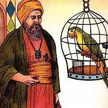 17 داستان یک وهابی  سه بار بیهوش شدم شرح داستان طوطی و بازرگان 17