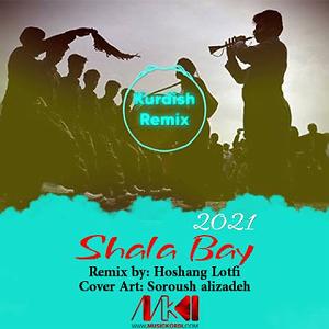 اعصاب داغون شهین و غلام روانی ریمیکس شه له به ی