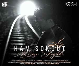 Beriz SaghiHesam SHeikhiRemix هم سکوت