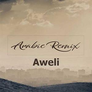 Ã ÃÂÃÂ³ÃÂÃÂÃÂ ÃÂªÃÂÃÂªÃÂ±ÃÂ§ÃÂ ÃÂÃÂÃÂÃ شاد ویلی یا ویلی یا ویلی ریمیکس