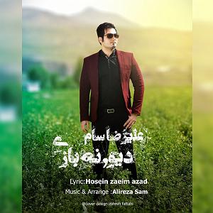 آلبوم 14 دیوونه بازی