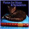 New Age new age native american flute