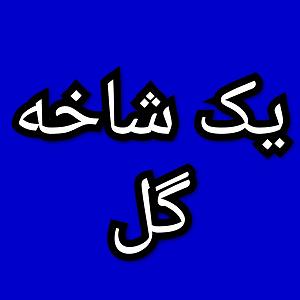 24 برنامه بستنی داغ  آدمای راستگو یک شاخه گل برنامه شماره ۲۴