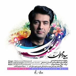 محمد معتمدی  پرواز بید مجنون