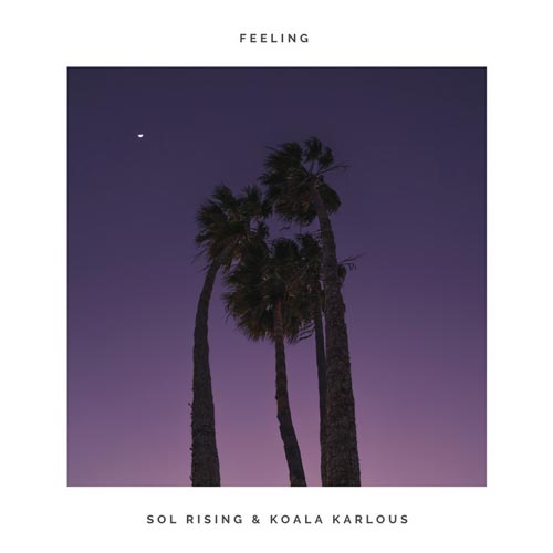 دانلود کردن حس کردن ، موسیقی الکترونیک انرژی مثبت از سول رایزینگ