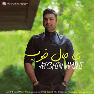 افشین امینی یه حال خوب