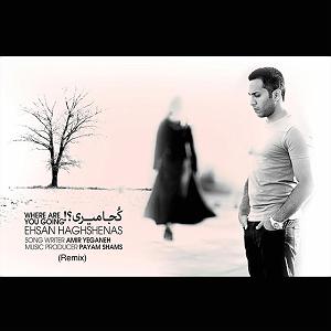 تولدتان مبارک آقای حق شناس کجا میری(remix)