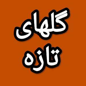 35 برنامه بستنی داغ  شادی های غمگین گلهای تازه برنامه شماره ۳۵