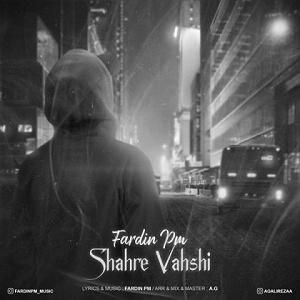 وحشی غریب شهر وحشی