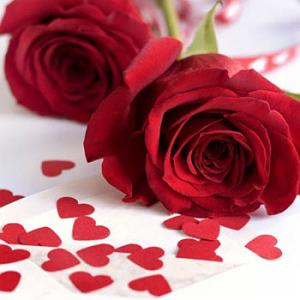 آلبوم ابرو کمان Hamed Sanjabi Masoud Mohammadi