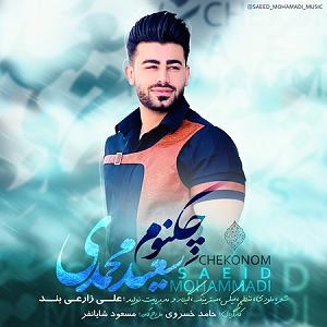 سعید محمدی چه کنم