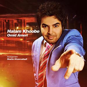 آلبوم دلم برات تنگ شده حالم خوبه