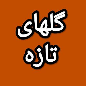 42 برنامه بستنی داغ  ویژگی های مثبت اندیش گلهای تازه برنامه شماره ۴۲