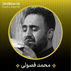 آهنگ جدید مهدی اعراف به مرغ مرندی شور | مرغ دل زده بال و پر به کنار حریم تو یا جواد