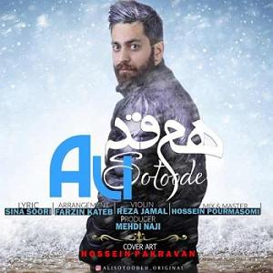 آلبوم درهم هم قد