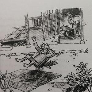 داستان غمناک مادر مادر بزرگ و ببر