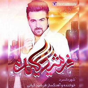 آلبوم شهر دل شهر دل سرد