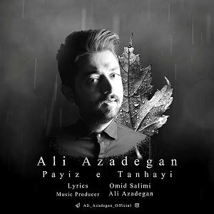 آلبوم پاییز، تنهایی پاییز تنهایی