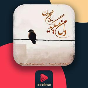 همایون شجریان - عاشقی دل من میگرید