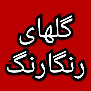 50 برنامه بستنی داغ  الگوی مطلوب گلهای رنگارنگ برنامه شماره ۵۰۴