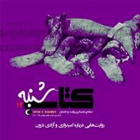 موزیکست شماره 3 : کتاب خوندن کتاب صوتی کتاب شنبه  شماره دوازده