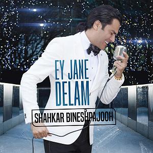 شاهکار بینش پژوه ای جان دلم