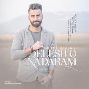 مهدی عسگری دلشو ندارم