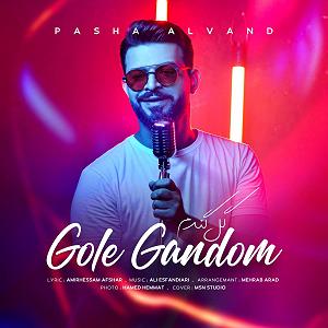 آهنگ فولکلور سیستانی گندم گل گندم پاشا الوند گل گندم