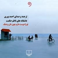 پیاله (49)؛ چرا فقط تو را دوست دارم؟ کتاب صوتی تو را دوست دارم چون نان و نمک