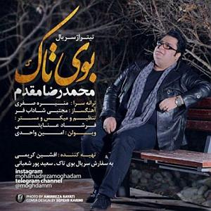 محمدرضا مقدم بوی تک