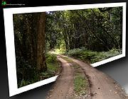 39 داستان یک وهابی  سلام خدا بر صراط مستقیم صراط مستقیم و هدایت انسانها