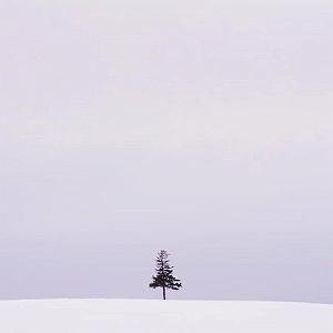 ali yasini پرواز اپ