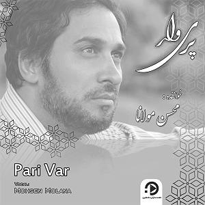 زبان زبان فارسی