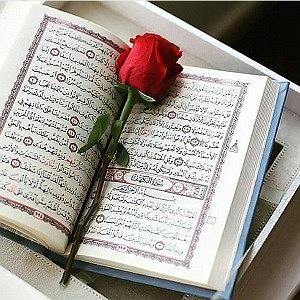 با جز به خواب برو ترتیل کل قرآن با شهريار پرهيزكار  به تفکیک 30 جزء