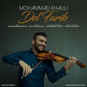 پیاله (55)؛ ای مثل لیلی دلفریب، همدرد مجنونم مکن دل فریب