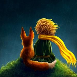 کتاب جادویی و دختر کوچولو فصل بیست و دوم کتاب زیبای شازده کوچولو