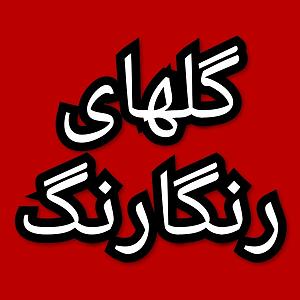 54 برنامه بستنی داغ  آثار توکل گلهای رنگارنگ برنامه شماره ۵۴۶